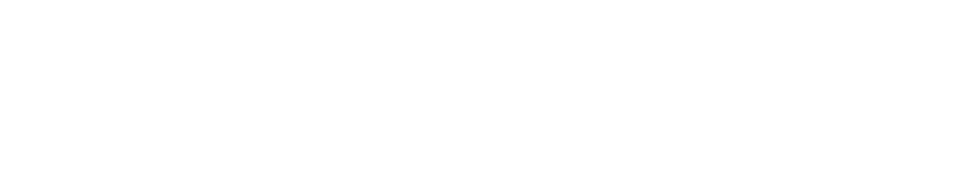 TripForge